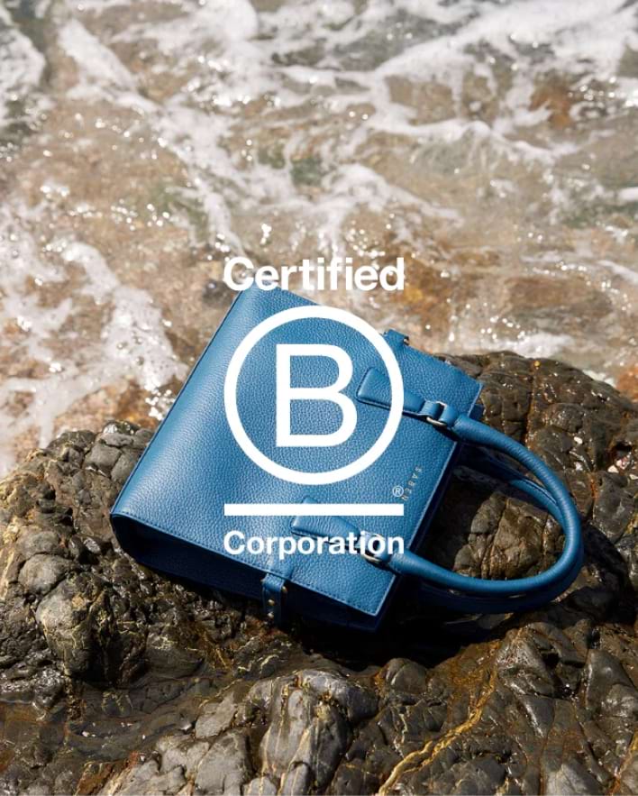 B Corp Journey
