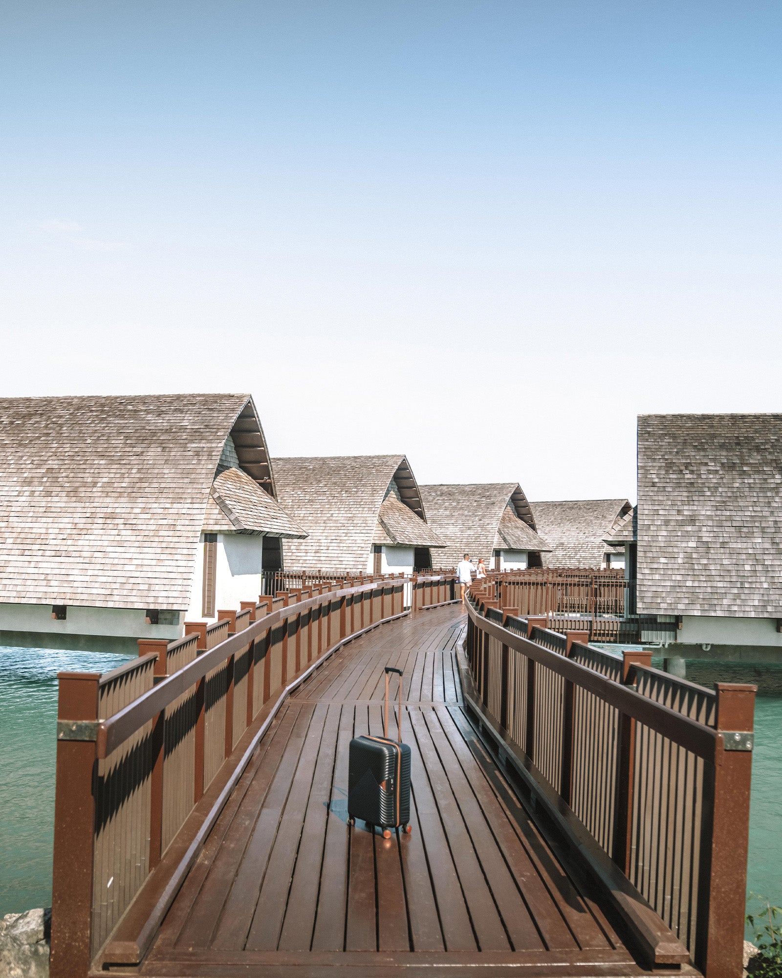 Set of Cabin + Medium Suitcase